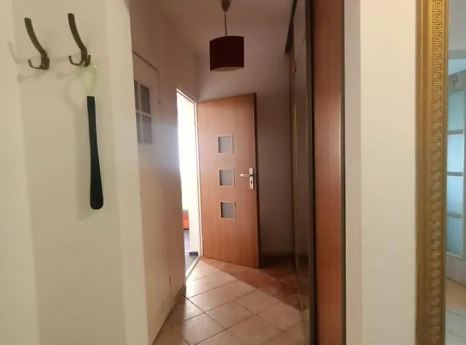 Do Wynajecia - Podwislocze 24 *